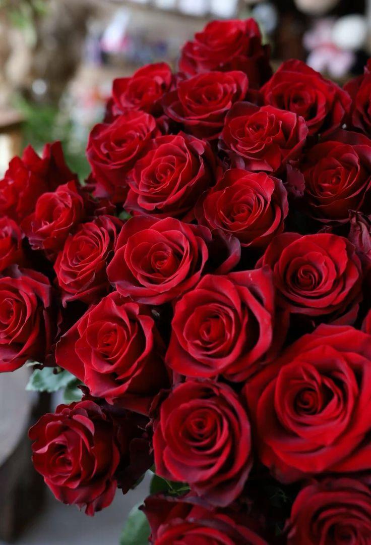 Corporate meeting room with carefully timed floral arrangements that maintain elegance throughout business hours